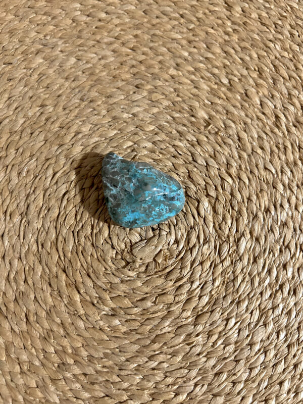 Shattuckita Rolada P
