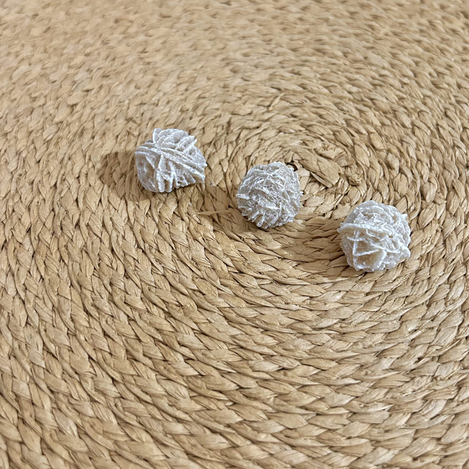 Rosa do Deserto