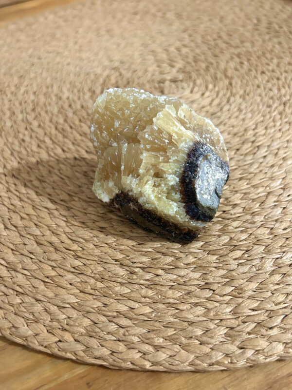 Aragonita Zebra